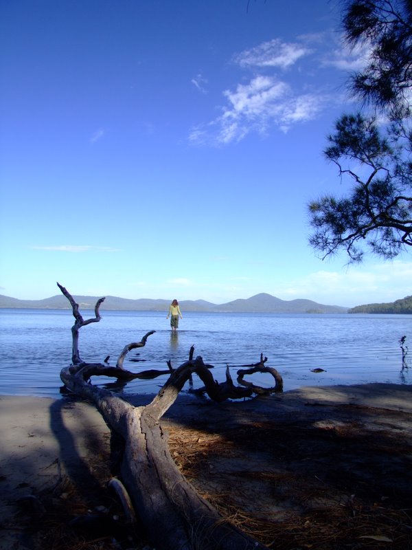 Travel - Australia - Dery Pictures Bush Party - The Lake near Forster